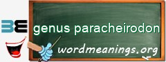 WordMeaning blackboard for genus paracheirodon